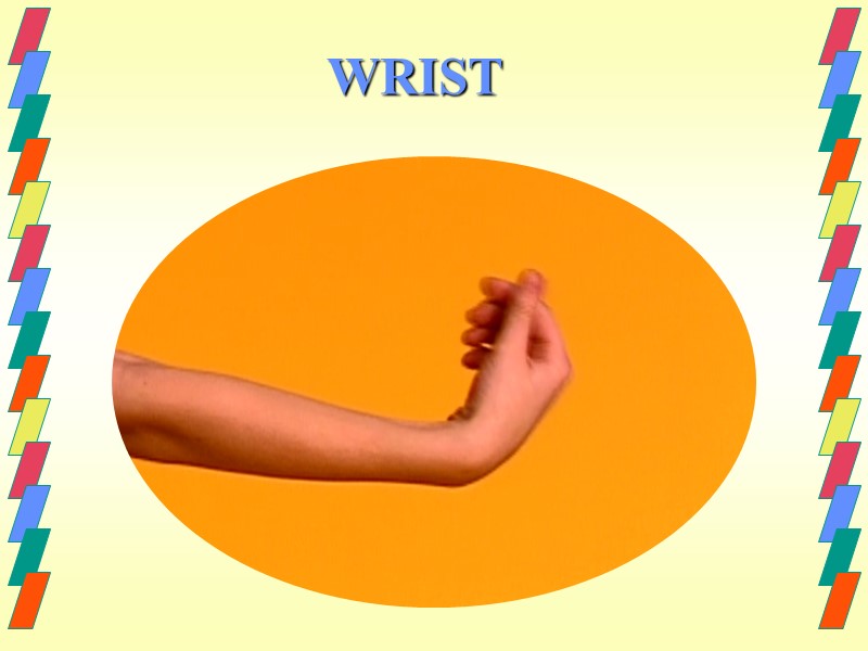 WRIST